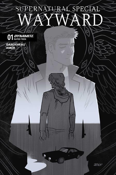 SUPERNATURAL WAYWARD SPECIAL #1 (ONE SHOT) CVR I INC 1:15 JOHN AMOR LINE ART VAR (VF/NM)