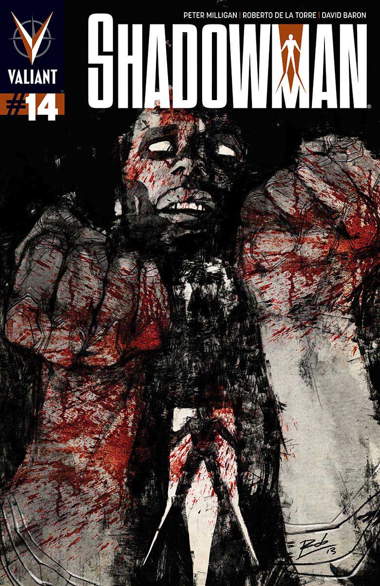 Shadowman #14 - CVR A (VF/NM)