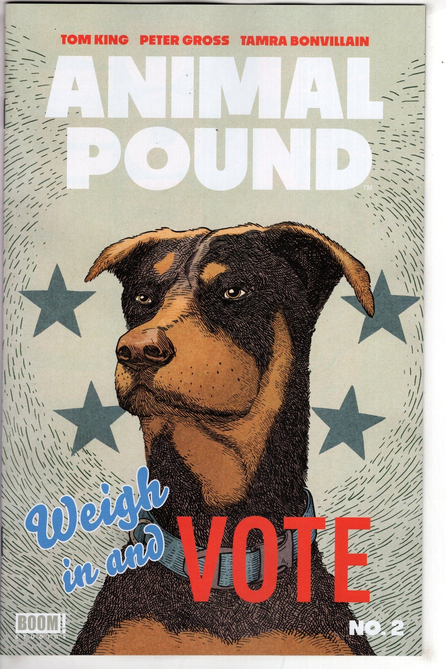 BOOM! STUDIOS COMIC BOOKS Animal Pound #2 (Of 4) Cover A Gross (Mature)