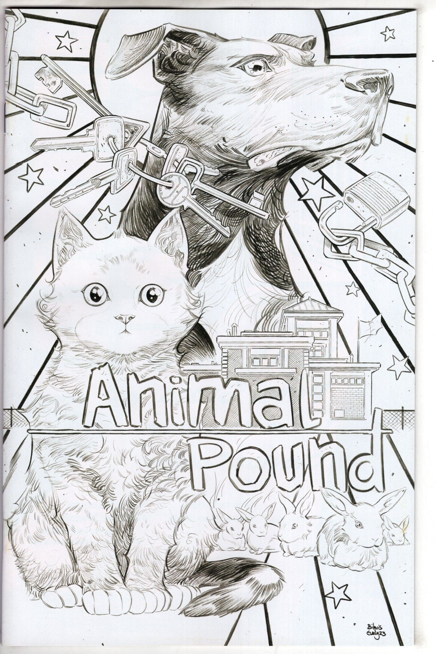 BOOM! STUDIOS COMIC BOOKS Animal Pound #2 (Of 4) Cover E Unlockable (Mature)