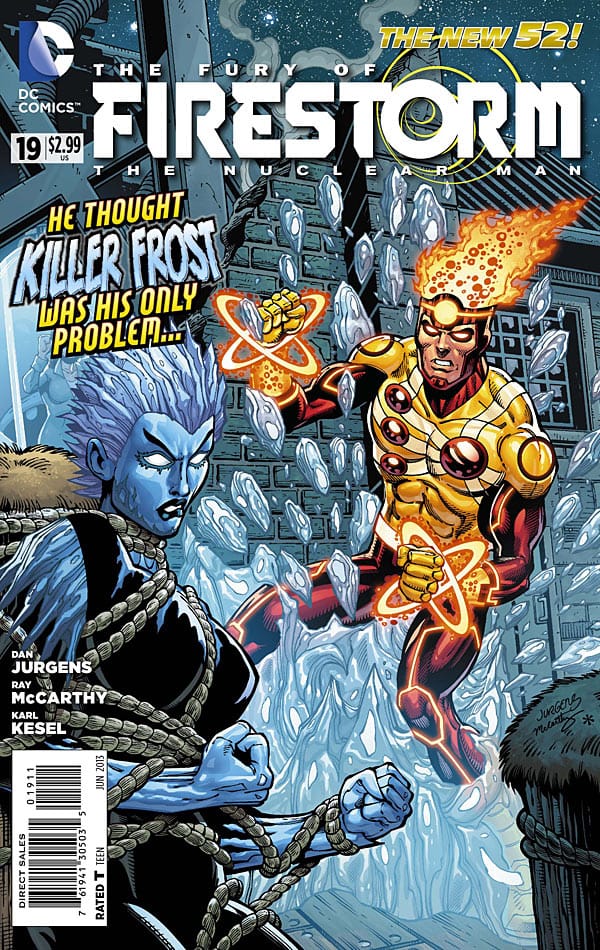 DC Comics COMIC BOOK The Fury of Firestorm: The Nuclear Man #19 (VF/NM)