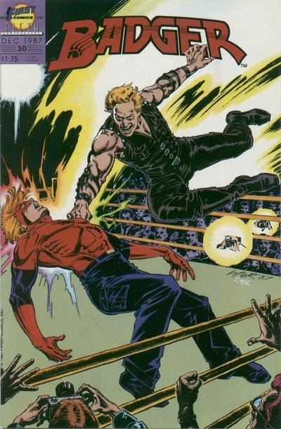 First COMIC BOOK Badger #30 - CVR A (VF)