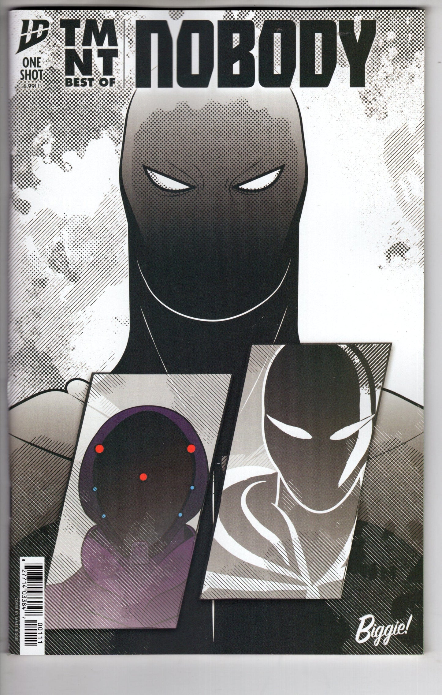 IDW-PRH COMIC BOOK Teenage Mutant Ninja Turtles: Best Of Nobody Cover A (Biggie)
