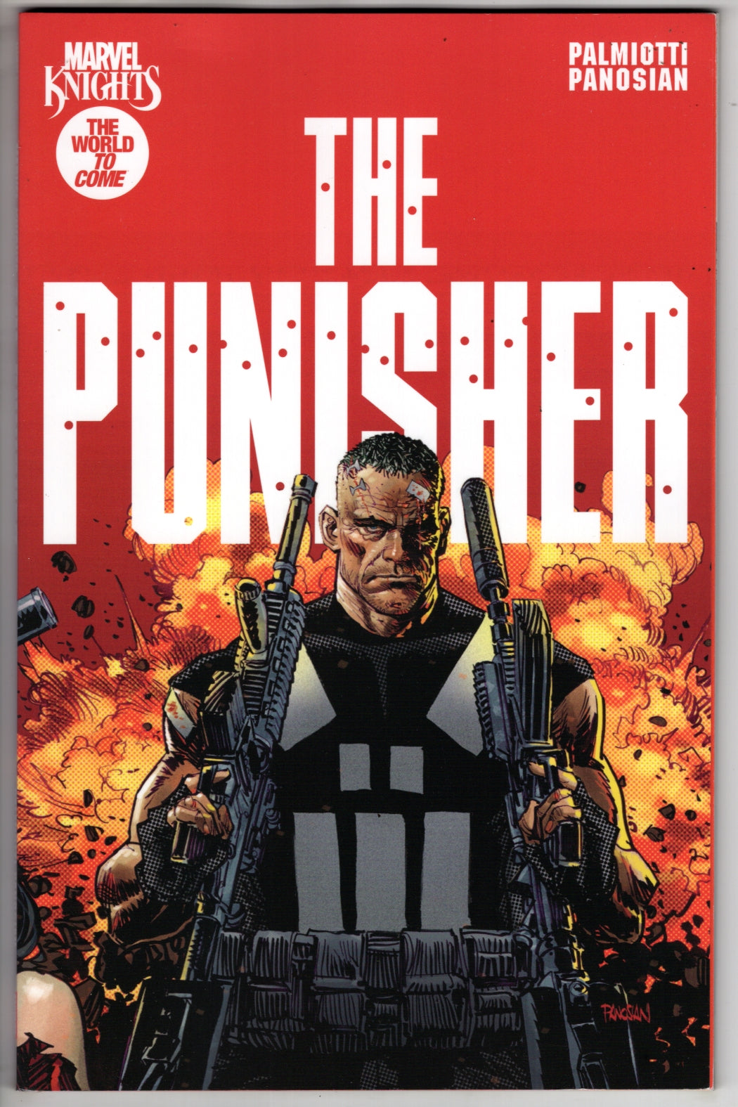 Marvel Knights: Punisher (VF/NM)
