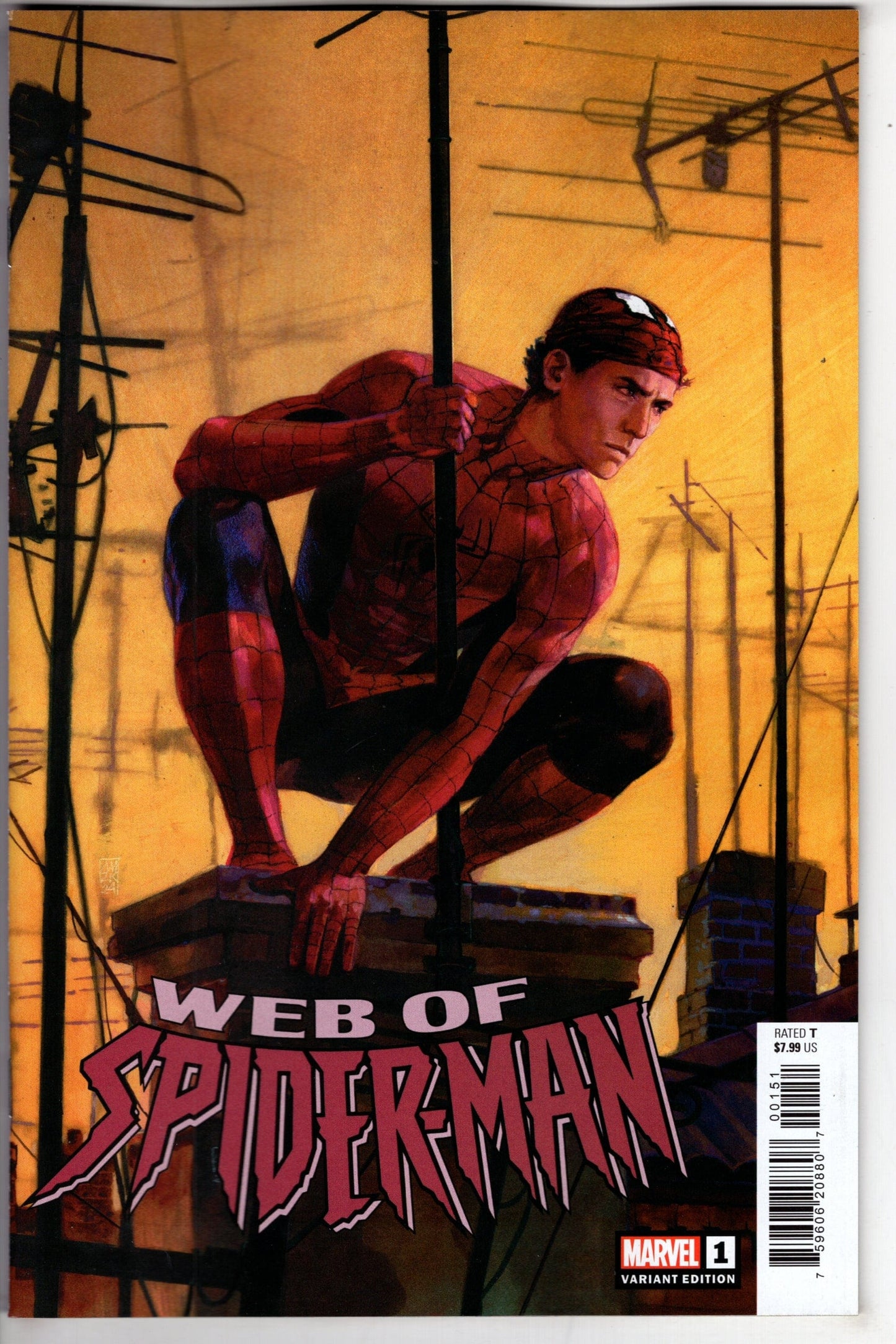 MARVEL PRH COMIC BOOK WEB OF SPIDER-MAN #1 ALEX MALEEV VAR