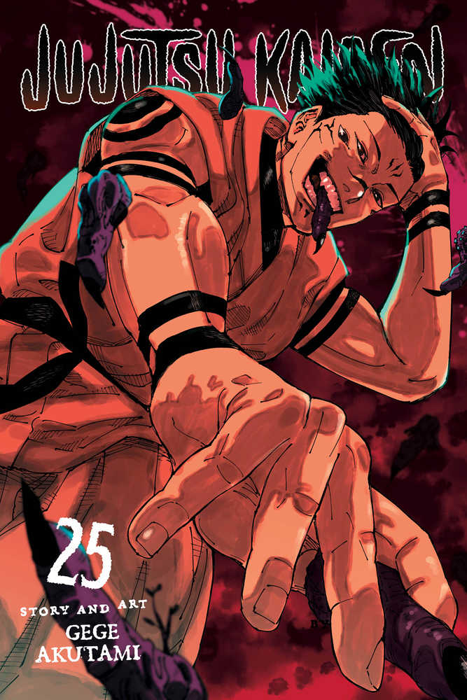 VIZ MEDIA LLC MANGA Jujutsu Kaisen Graphic Novel Volume 25