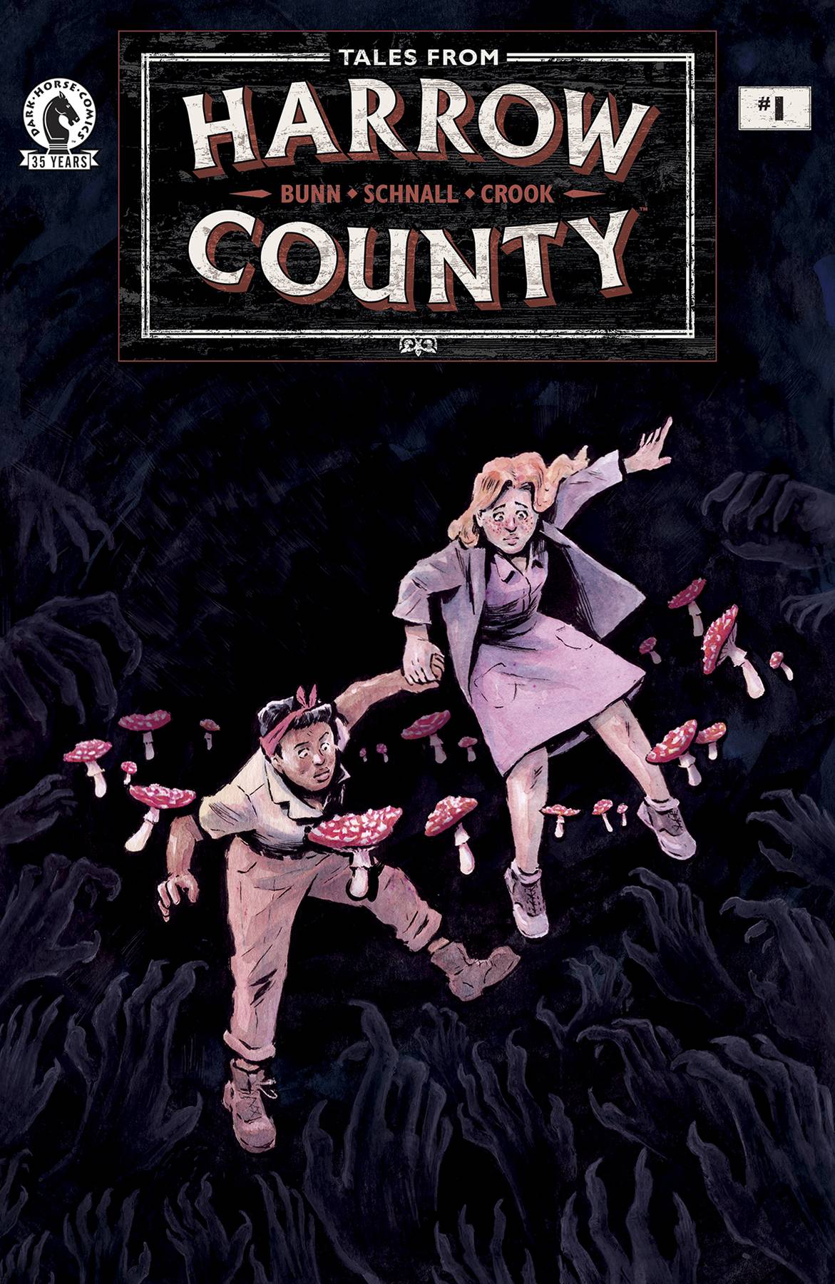 DARK HORSE COMICS COMIC BOOK TALES FROM HARROW COUNTY FAIR FOLK #1 (OF 4) CVR A SCHNALL