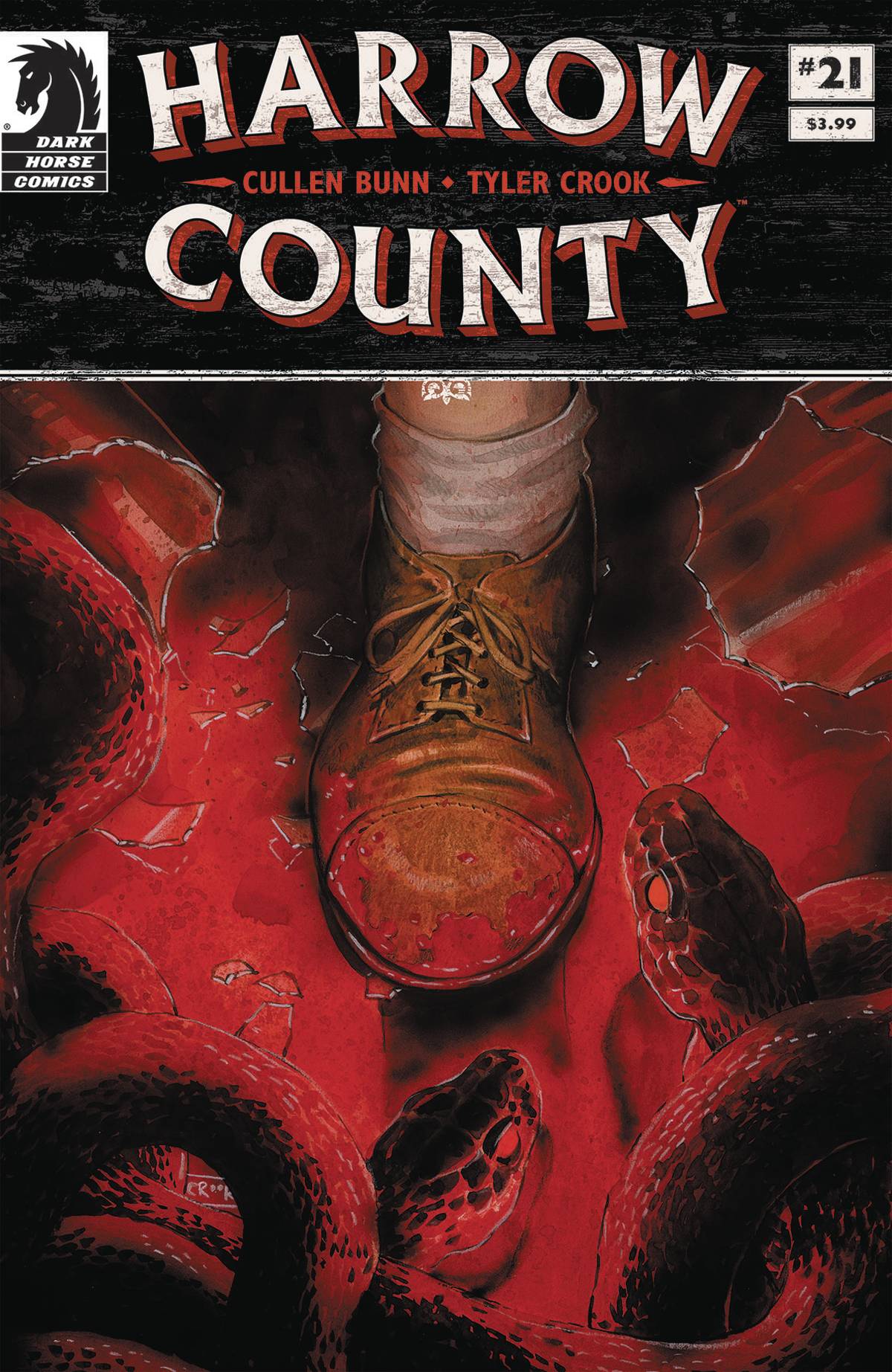 DARK HORSE COMICS HARROW COUNTY #21