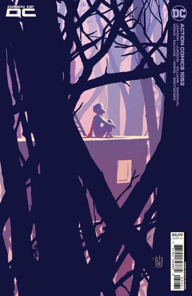 DC Comics COMIC BOOK Action Comics #1052 Cover D Lee Weeks Card Stock Variant