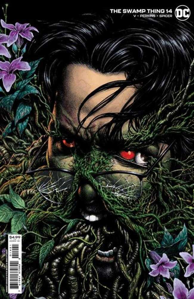 DC Comics COMIC BOOK VF/NM Swamp Thing #14 (Of 16) Cover B Steve Beach Card Stock Variant