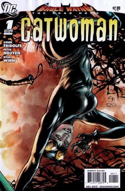 DC COMICS Comics VF+ BRUCE WAYNE THE ROAD HOME CATWOMAN #1