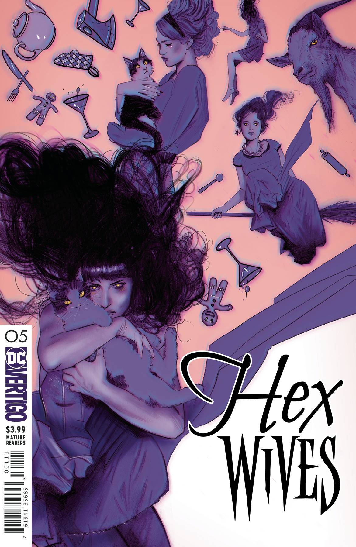 DC COMICS DC COMICS HEX WIVES #5 (MR)