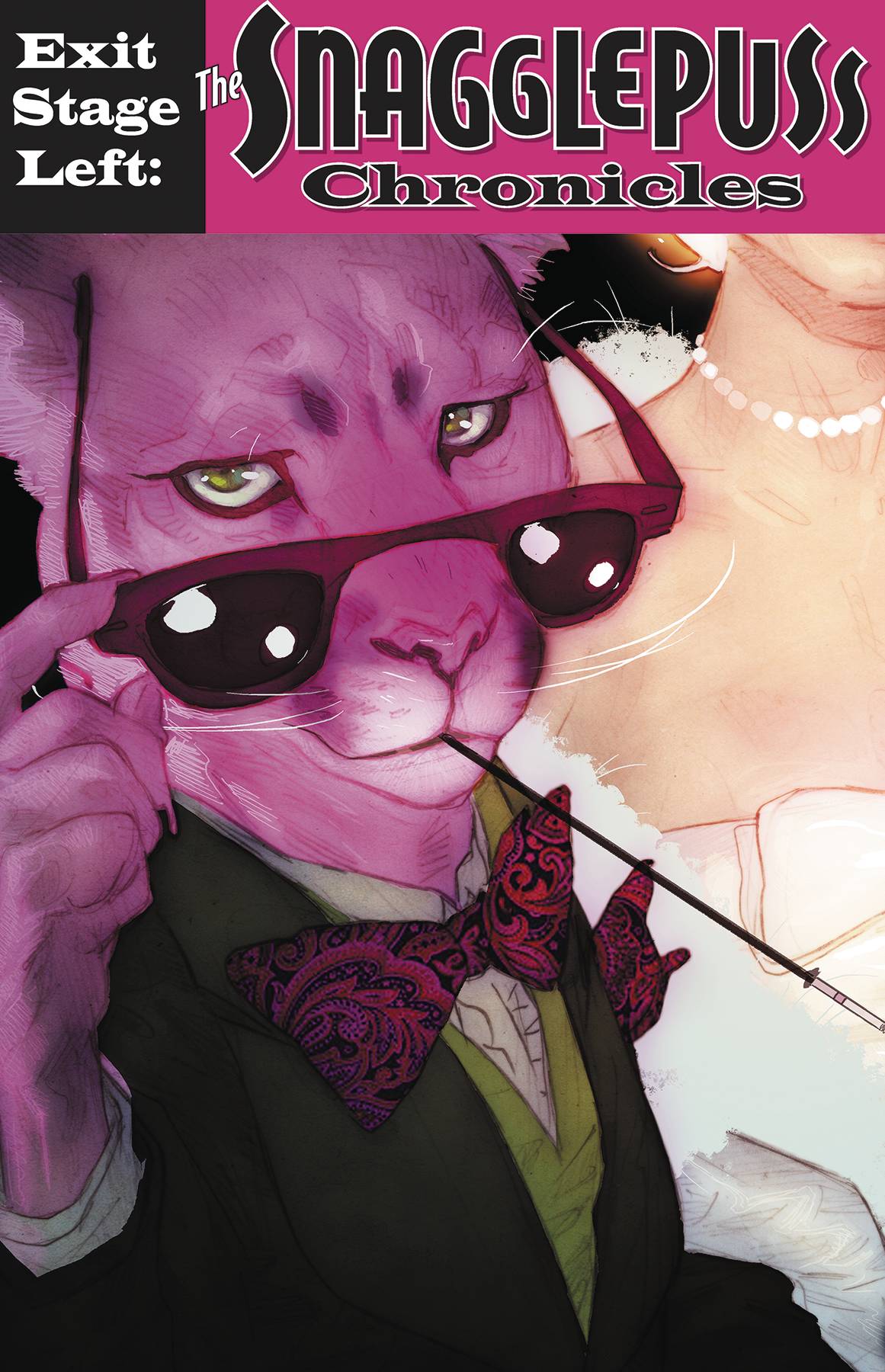 DC COMICS EXIT STAGE LEFT THE SNAGGLEPUSS CHRONICLES #3 (OF 6)