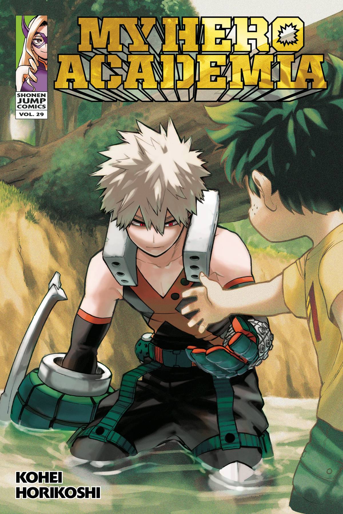 VIZ LLC MANGA MY HERO ACADEMIA GN VOL 29