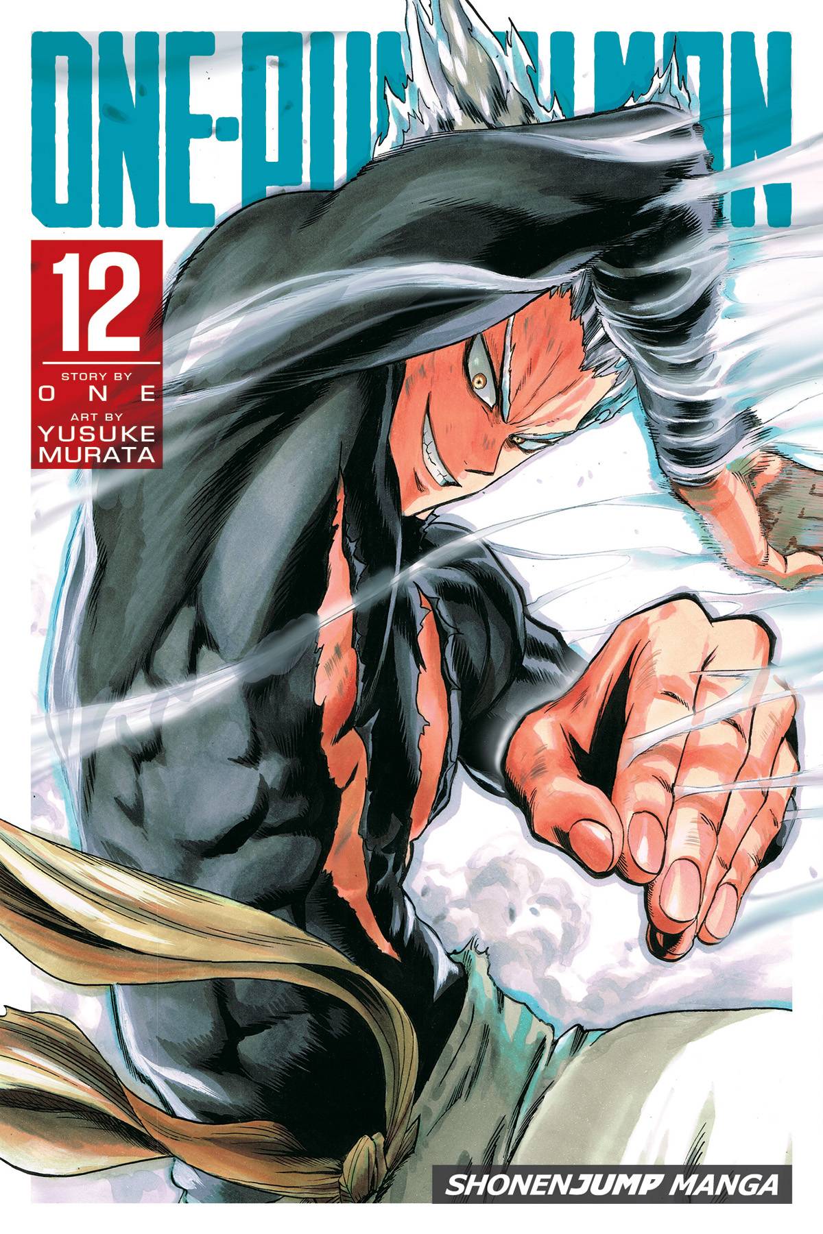 VIZ MEDIA LLC MANGA ONE PUNCH MAN GN VOL 12