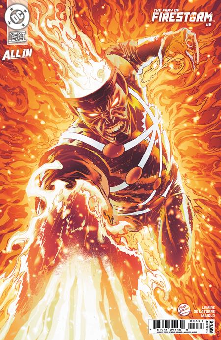 FURY OF FIRESTORM #6 (OF 8) CVR B BRAD WALKER & MARCELO MAIOLO CARD STOCK VAR (VF/NM)