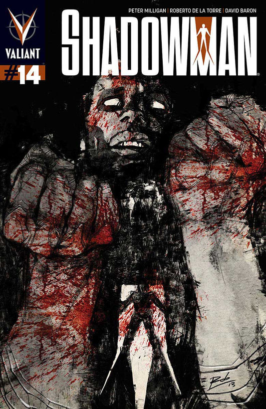 Shadowman #14 - CVR A (VF/NM)