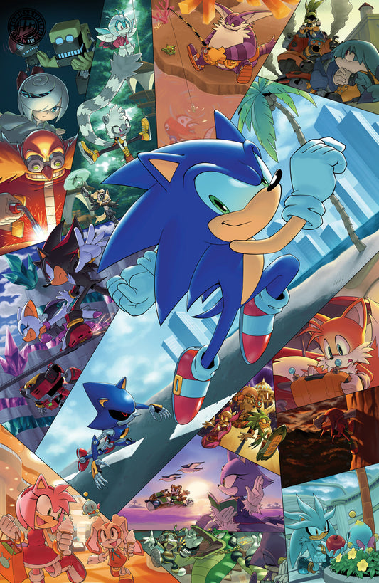 Sonic the Hedgehog #91 Variant RI (25) (Hammerstrom Full Art) (VF/NM) - Packrat Comics