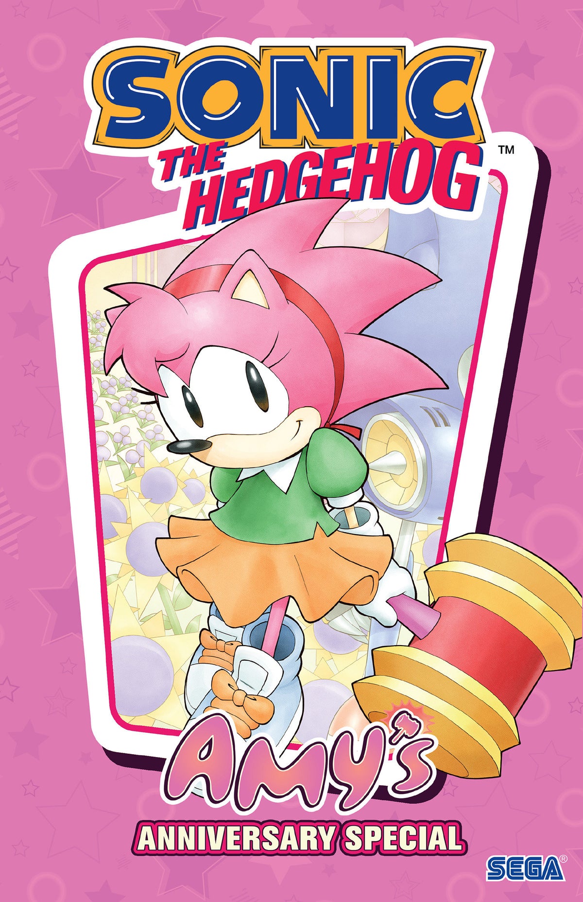 Sonic the Hedgehog: Amy's Anniversary Special (VF/NM)