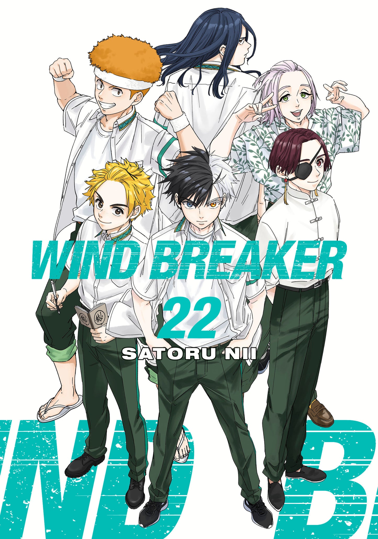 WIND BREAKER 22 (VF/NM)