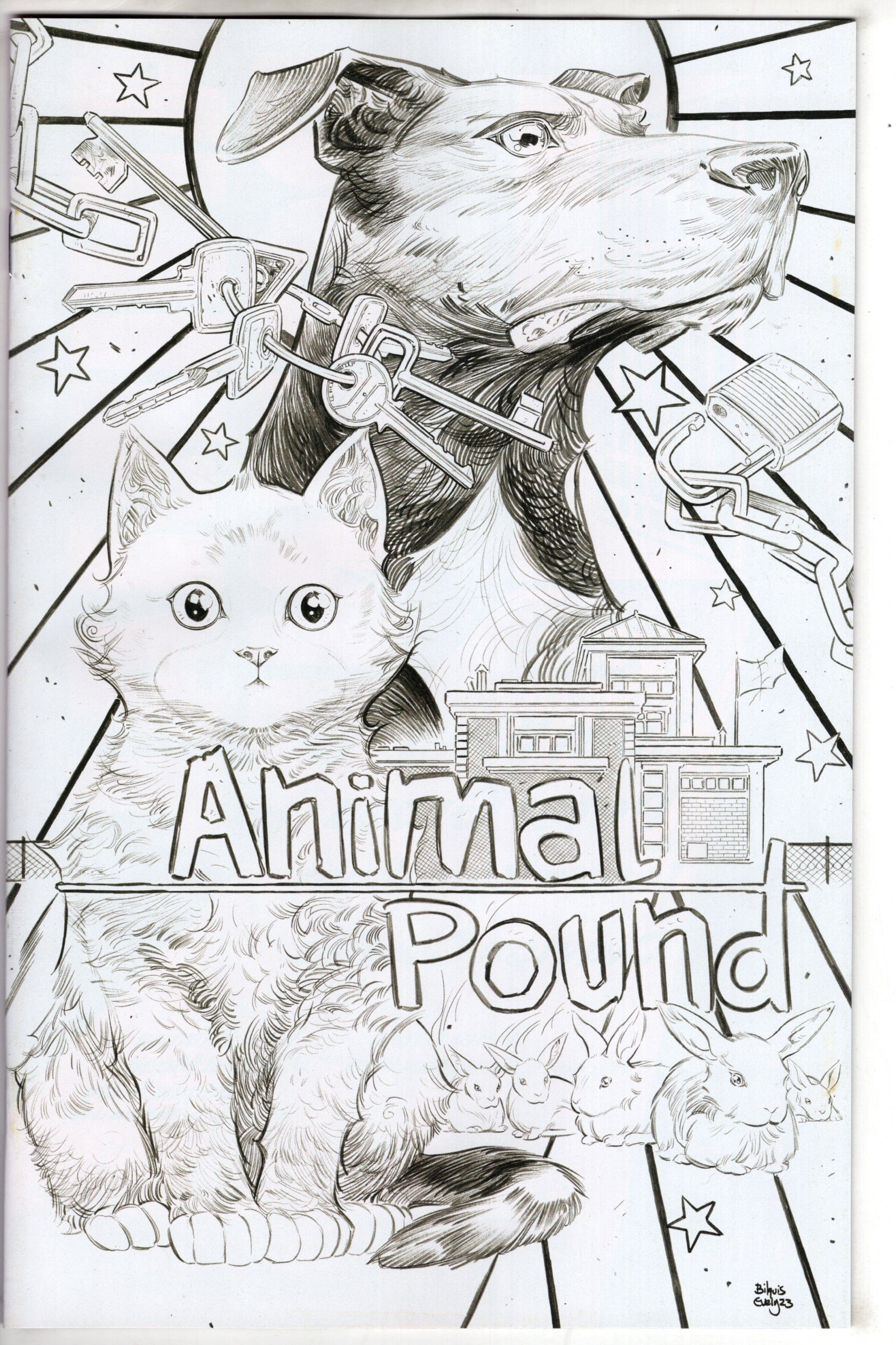 BOOM! STUDIOS COMIC BOOKS Animal Pound #2 (Of 4) Cover E Unlockable (Mature)