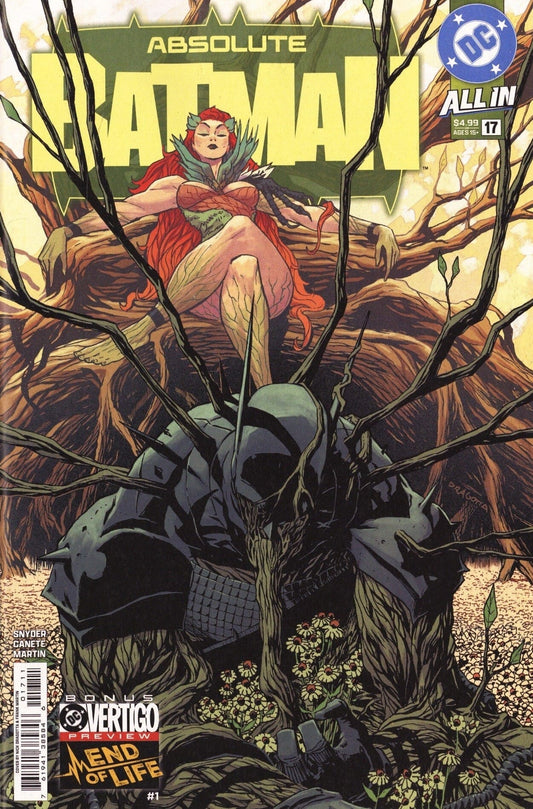 DC Comics COMIC BOOK Absolute Batman #17 - CVR A 1ST PRINT (VF/NM)