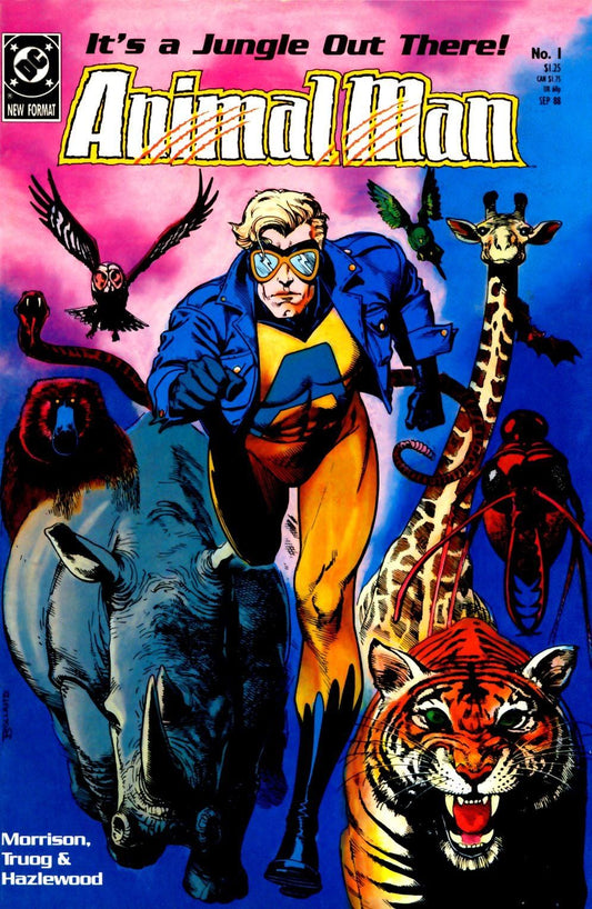 DC Comics COMIC BOOK Animal Man #1 - CVR A (FN)