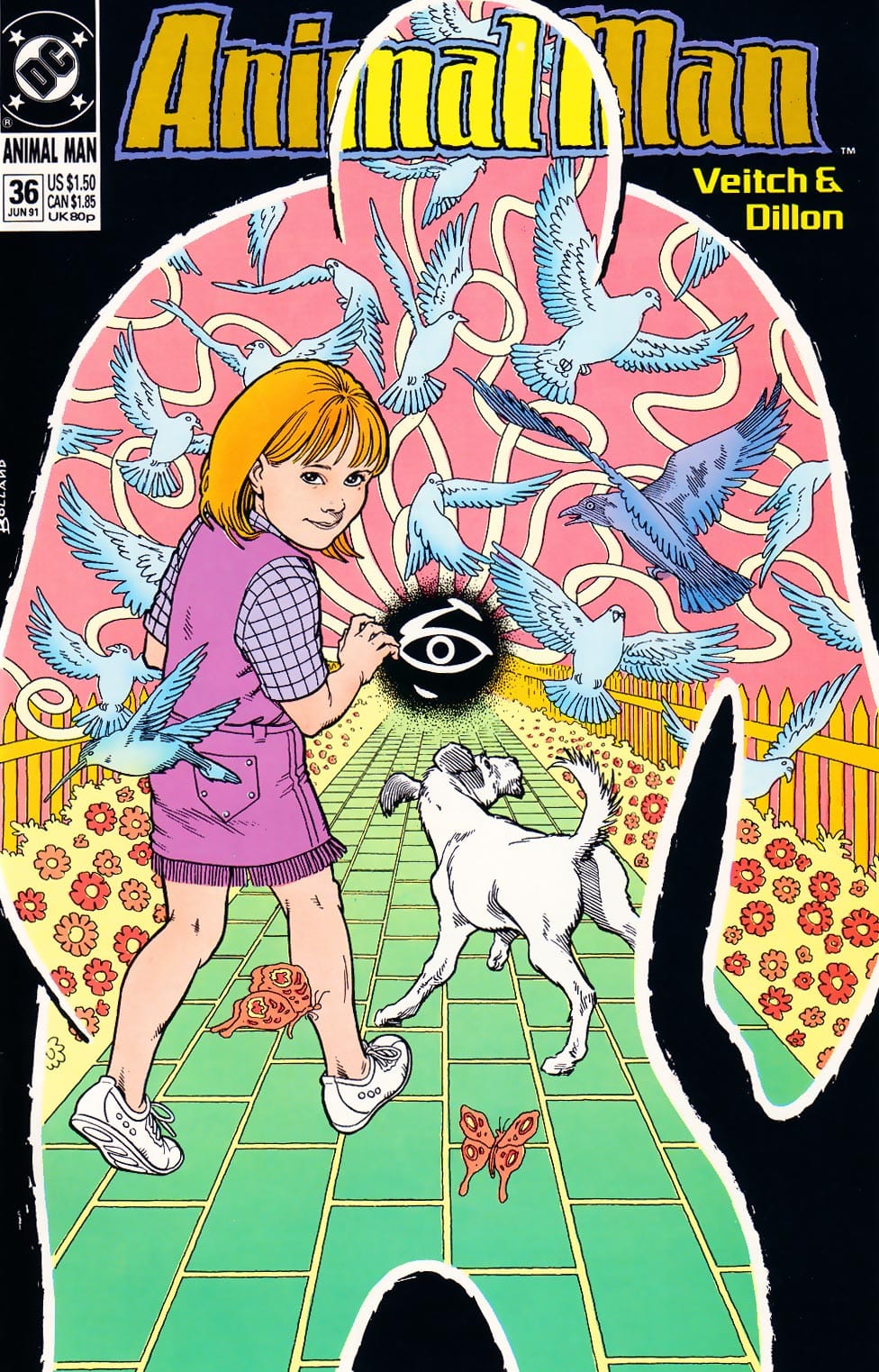 DC Comics COMIC BOOK Animal Man #36 - CVR A (FN)
