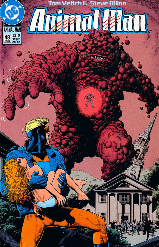 DC Comics COMIC BOOK Animal Man #48 - CVR A (FN)