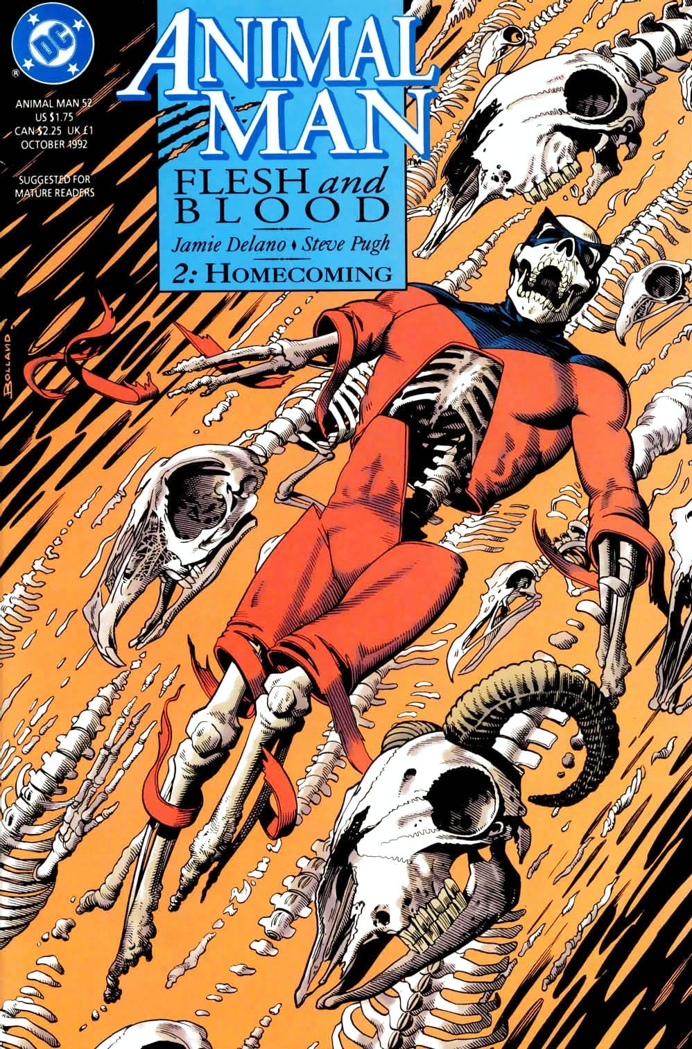 DC Comics COMIC BOOK Animal Man #52 - CVR A (FN)