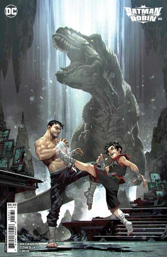 DC Comics COMIC BOOK Batman And Robin #8 Cover C Kael Ngu Card Stock Variant