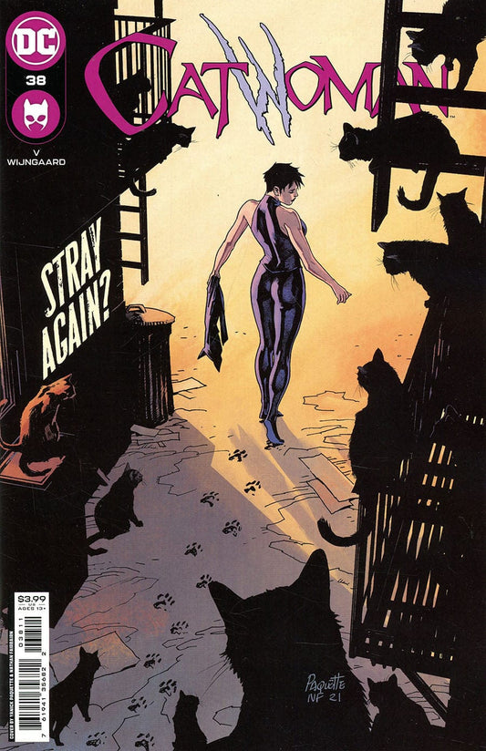 Dc Comics Comics Catwoman #38 [VF/NM]