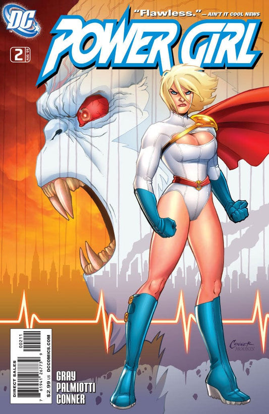 Dc Comics Comics Power Girl #2