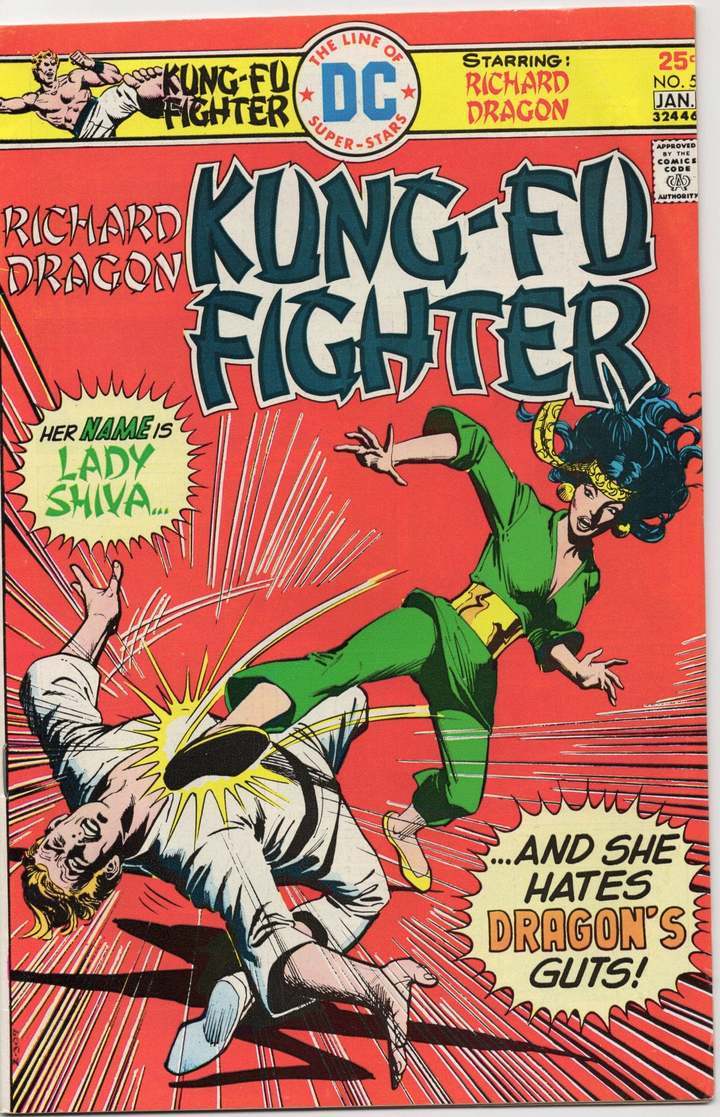Dc Comics Comics Richard Dragon, Kung Fu Fighter #5 [VG/FN]