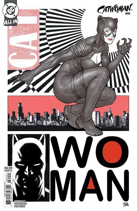 DC Comics NEW THIS WEEK CATWOMAN #89 CVR B FRANK CHO CARD STOCK VAR (VF/NM)