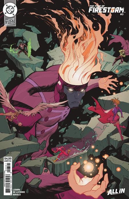 DC Comics NEW THIS WEEK FURY OF FIRESTORM #3 (OF 8) CVR D STEPHEN GREEN CARD STOCK VAR (VF/NM)