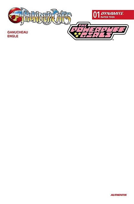 DYNAMITE Entertainment COMIC BOOK THUNDERCATS POWERPUFF GIRLS #1 CVR F BLANK AUTHENTIX VAR
