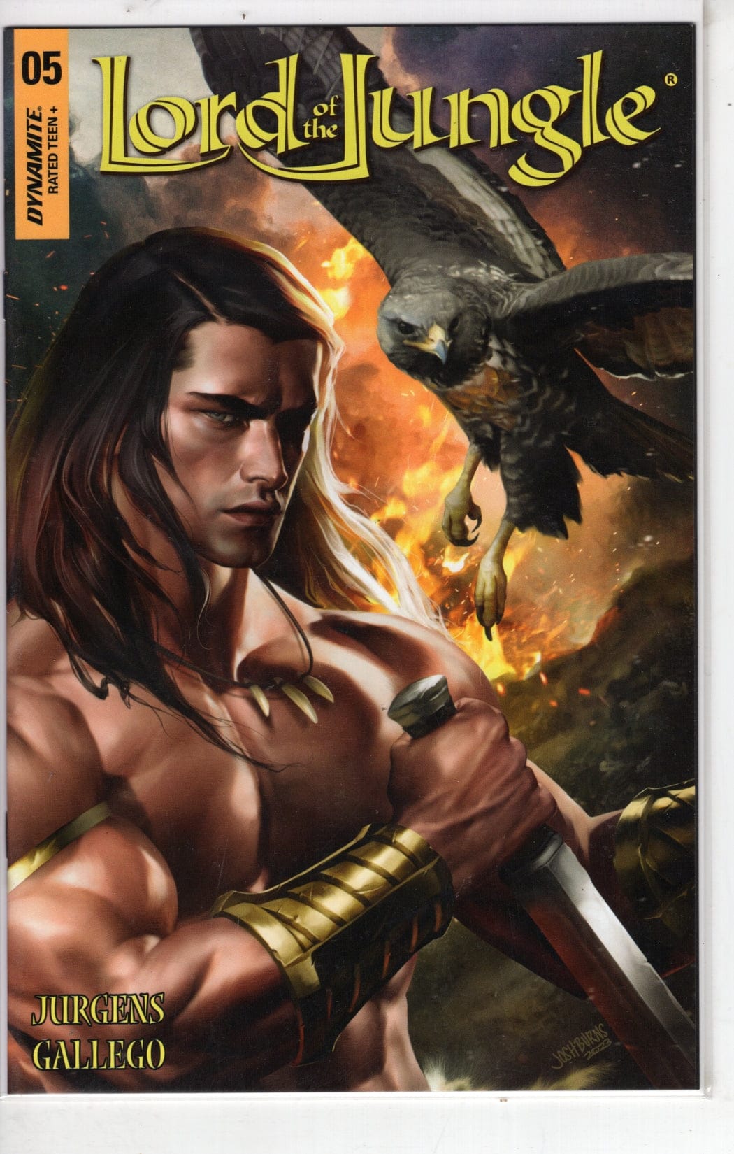 Dynamite Entertainment Comics Lord of the Jungle #5 CVR C [VF/NM]