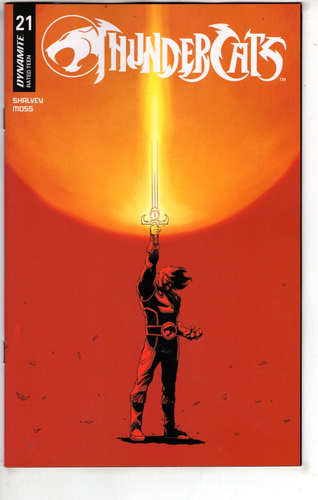 Dynamite Entertainment NEW THIS WEEK THUNDERCATS #21 CVR B
