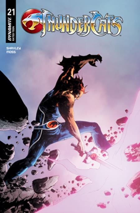 Dynamite Entertainment NEW THIS WEEK THUNDERCATS #21 CVR C JAE LEE JUNE CHUNG VAR