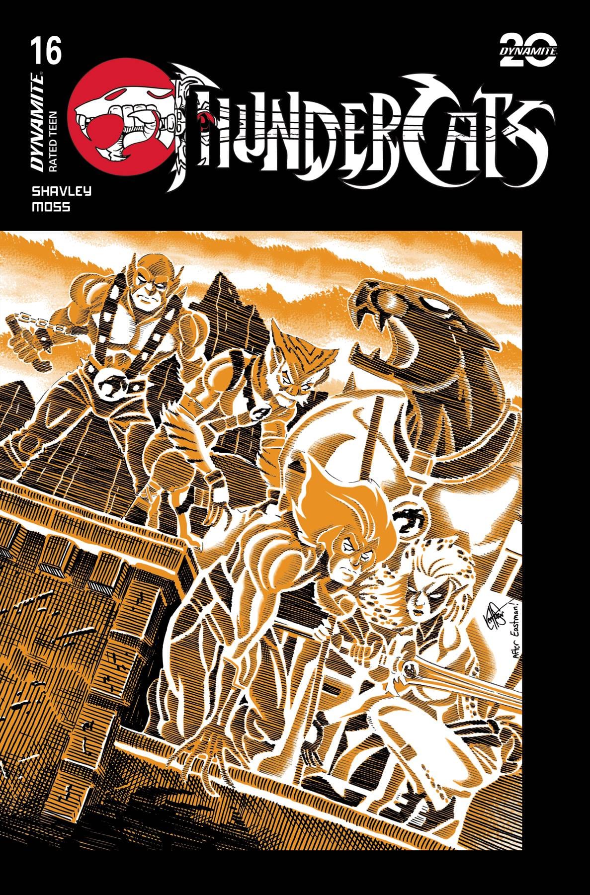 DYNAMITE THUNDERCATS #16 CVR G KEN HAESER TMNT HOMAGE VAR