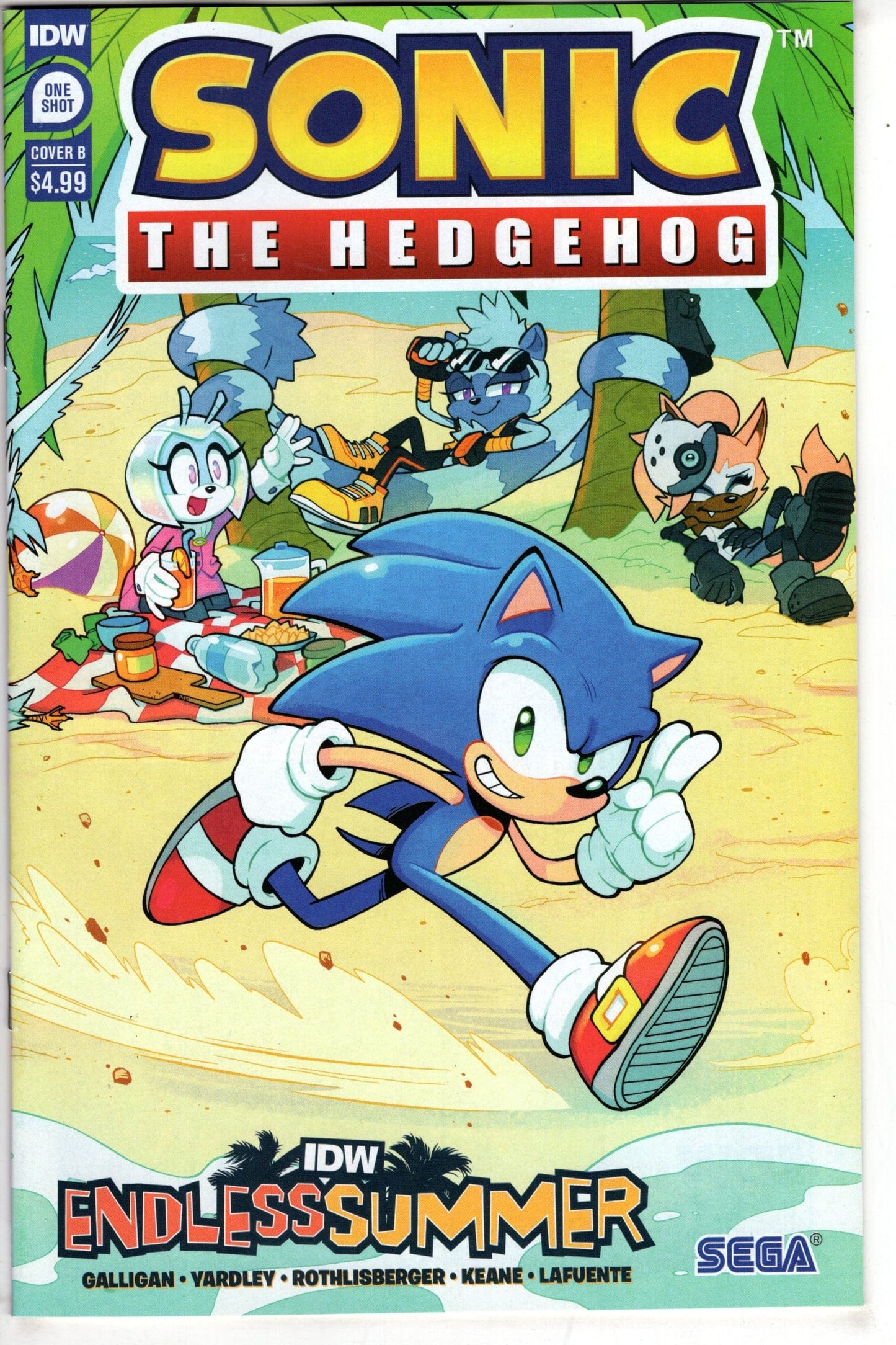IDW PUBLISHING COMIC BOOK IDW ENDLESS SUMMER SONIC THE HEDGEHOG CVR B LAWRENCE