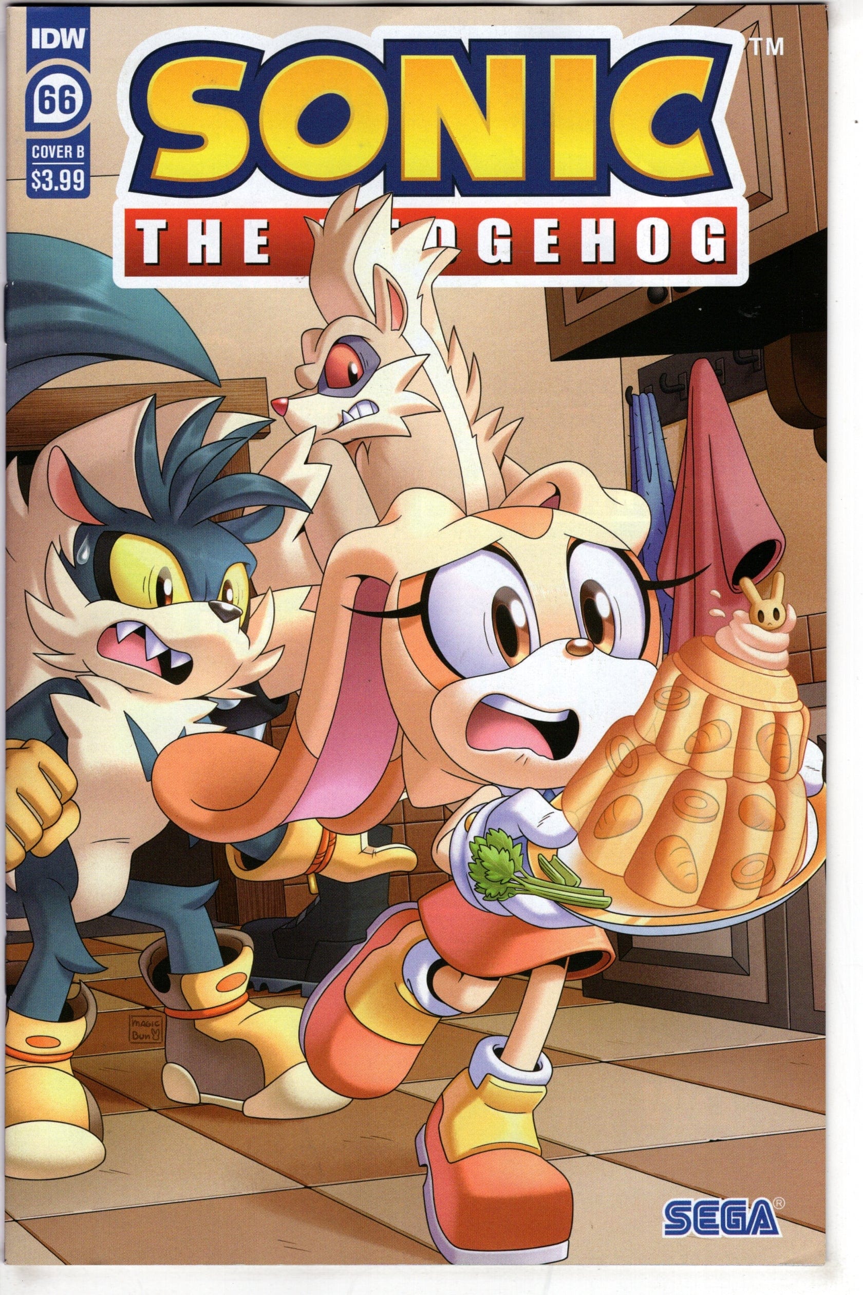 IDW PUBLISHING COMIC BOOK SONIC THE HEDGEHOG #66 CVR B OZ