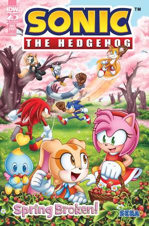 IDW PUBLISHING COMIC BOOK SONIC THE HEDGEHOG SPRING BROKEN #1 CVR B STARLING