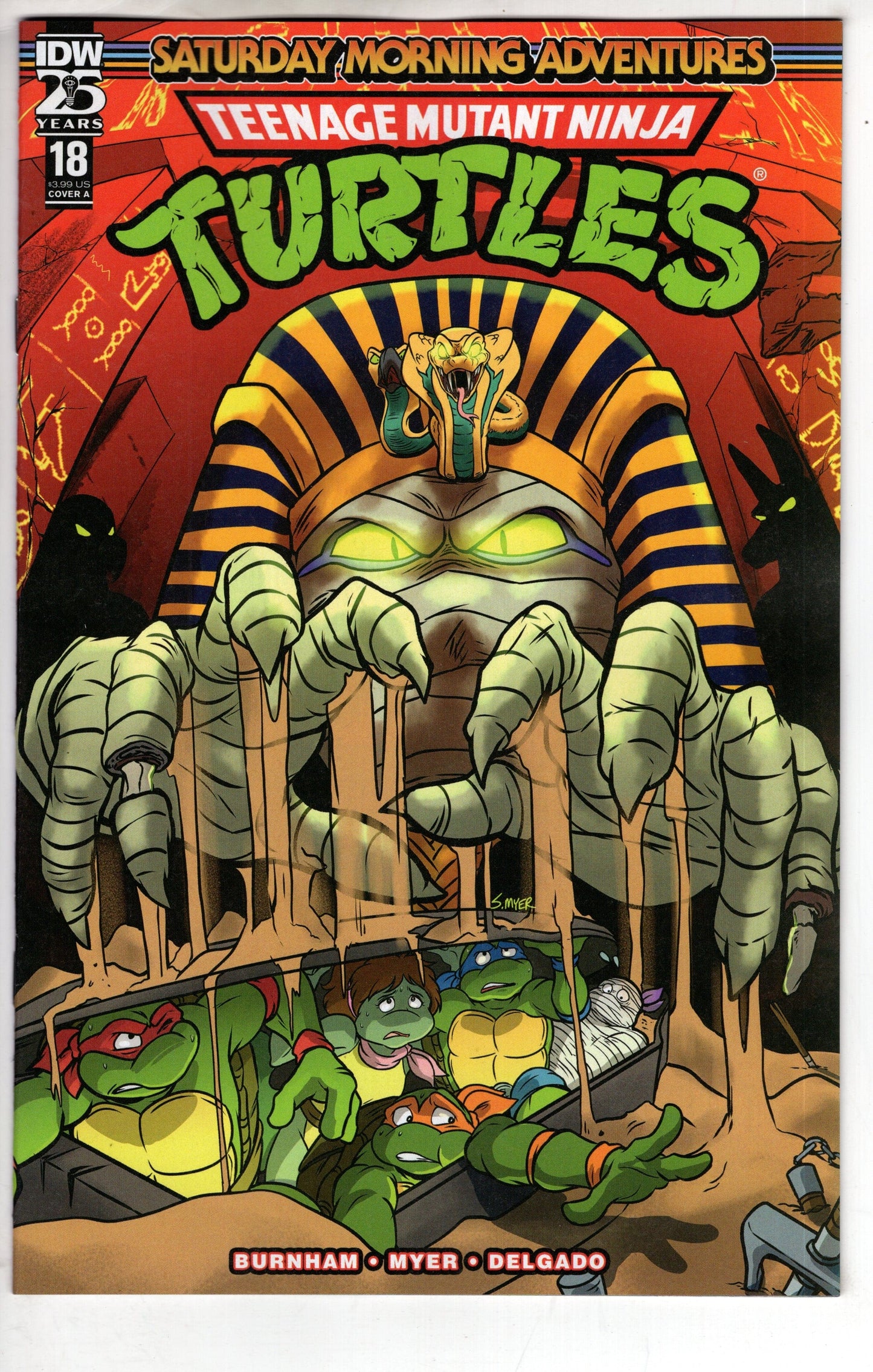 IDW PUBLISHING COMIC BOOK TMNT SATURDAY MORNING ADV #18 CVR A MYER