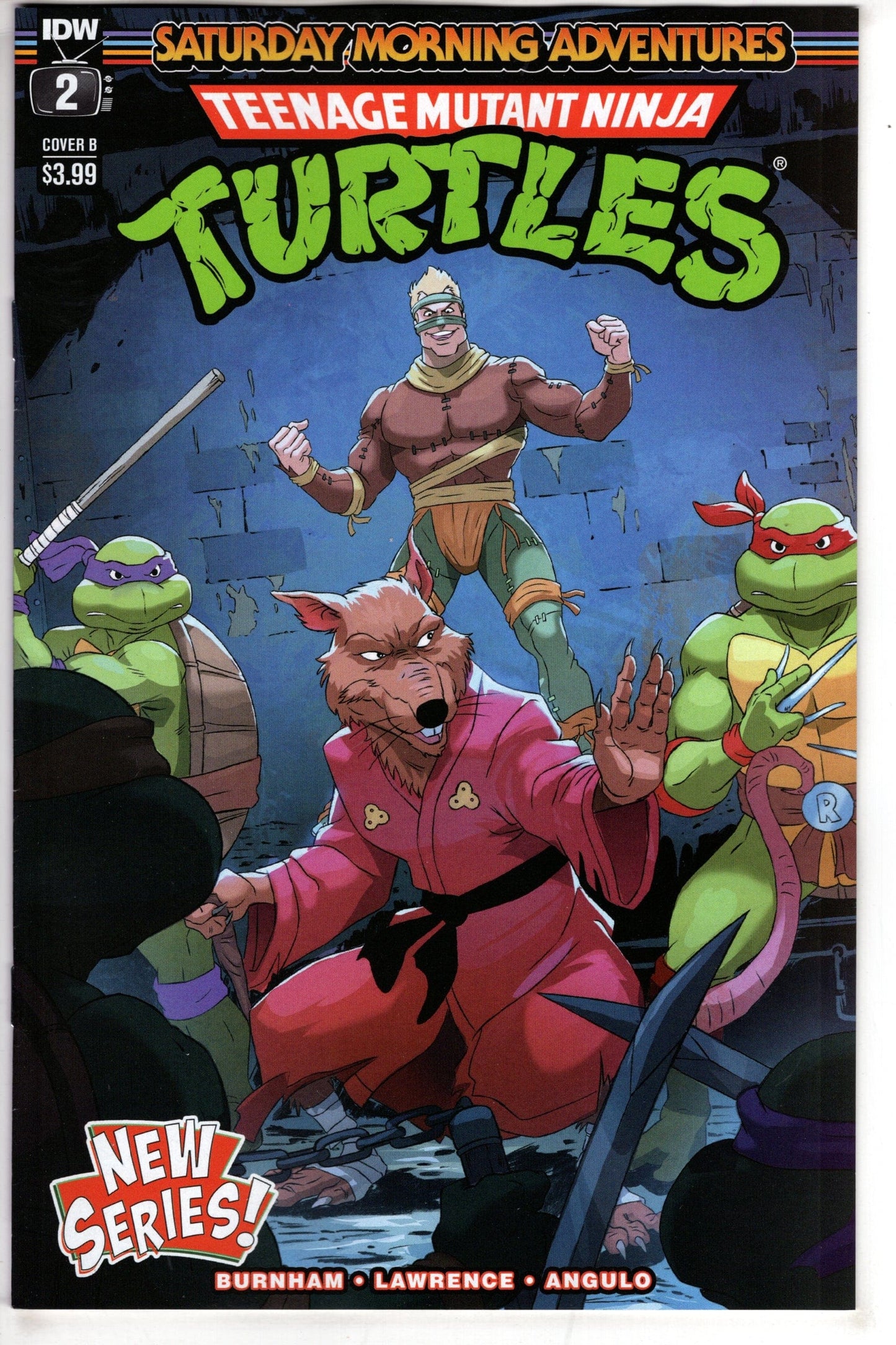 IDW PUBLISHING COMIC BOOK TMNT SATURDAY MORNING ADV CONTINUED #2 CVR B SCHOENING