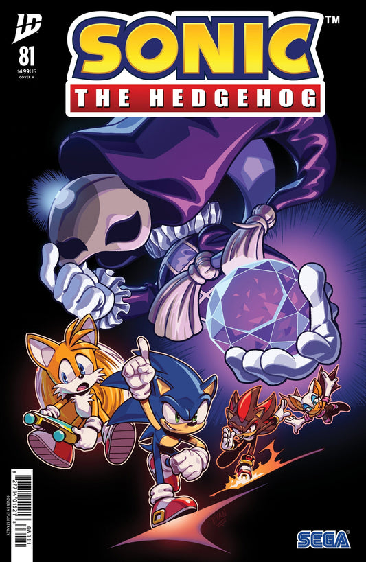 IDW Publishing NEW LAST WEEK Sonic the Hedgehog #81 Cover A (Stanley)