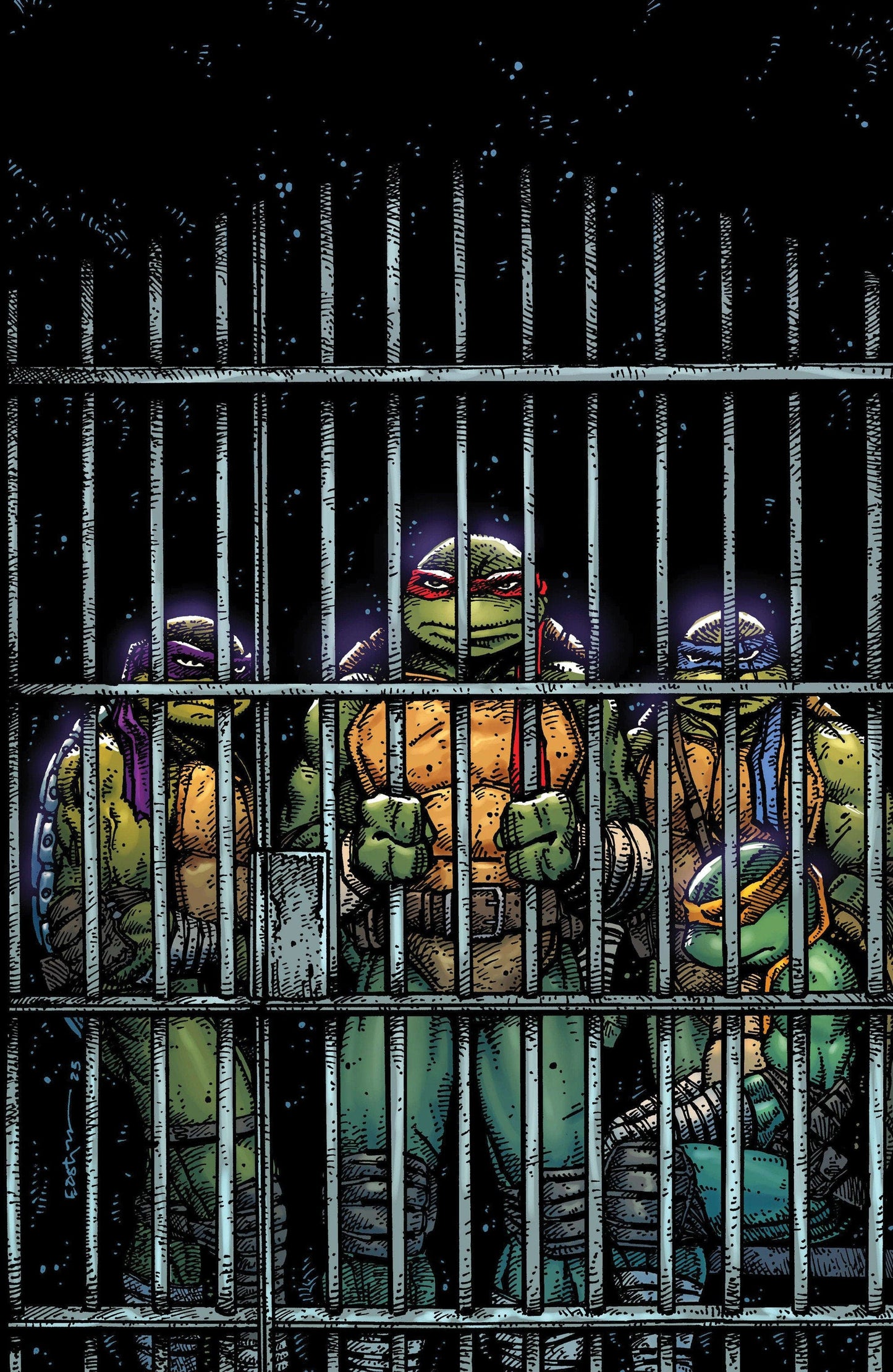 IDW Publishing NEW LAST WEEK Teenage Mutant Ninja Turtles #11 Variant RI (10) (Eastman Full Art)