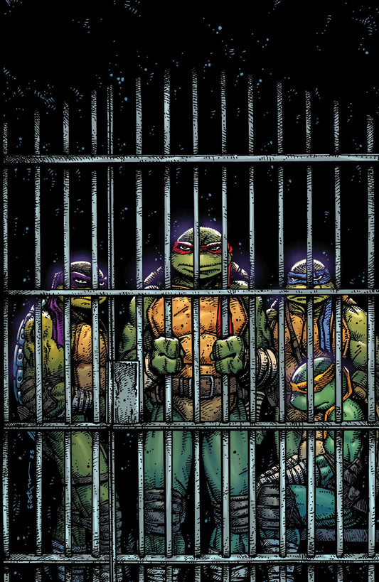 IDW Publishing NEW LAST WEEK Teenage Mutant Ninja Turtles #11 Variant RI (10) (Eastman Full Art)