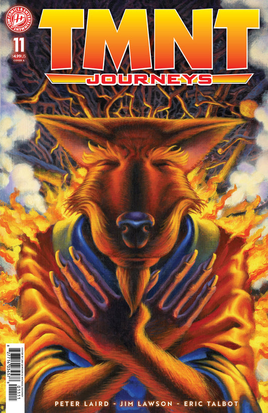 IDW Publishing NEW THIS WEEK TMNT: Journeys #11 Cover A (Dooney & Lawson) (VF/NM)